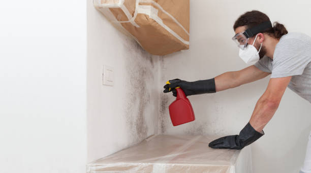 Professional Bathroom Mold Removal technician working in Jessup, PA