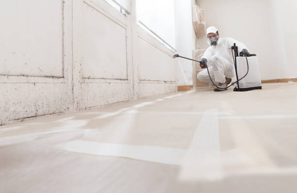 24/7 Emergency Bathroom Mold Removal experts in Jessup, PA